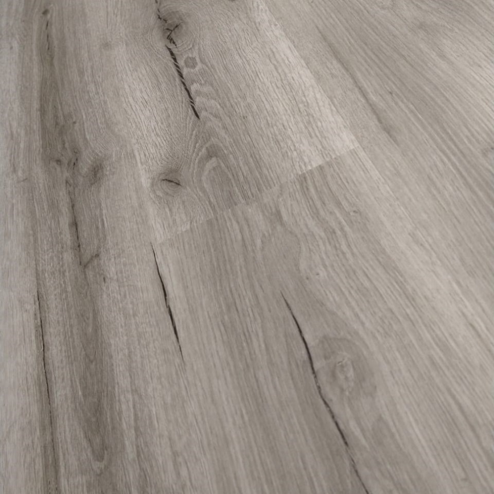 SPC FETECK SIBERIA 10364 1B