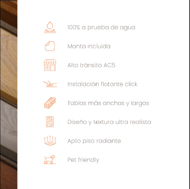 BOSSWOOD 00PROPIEDADES