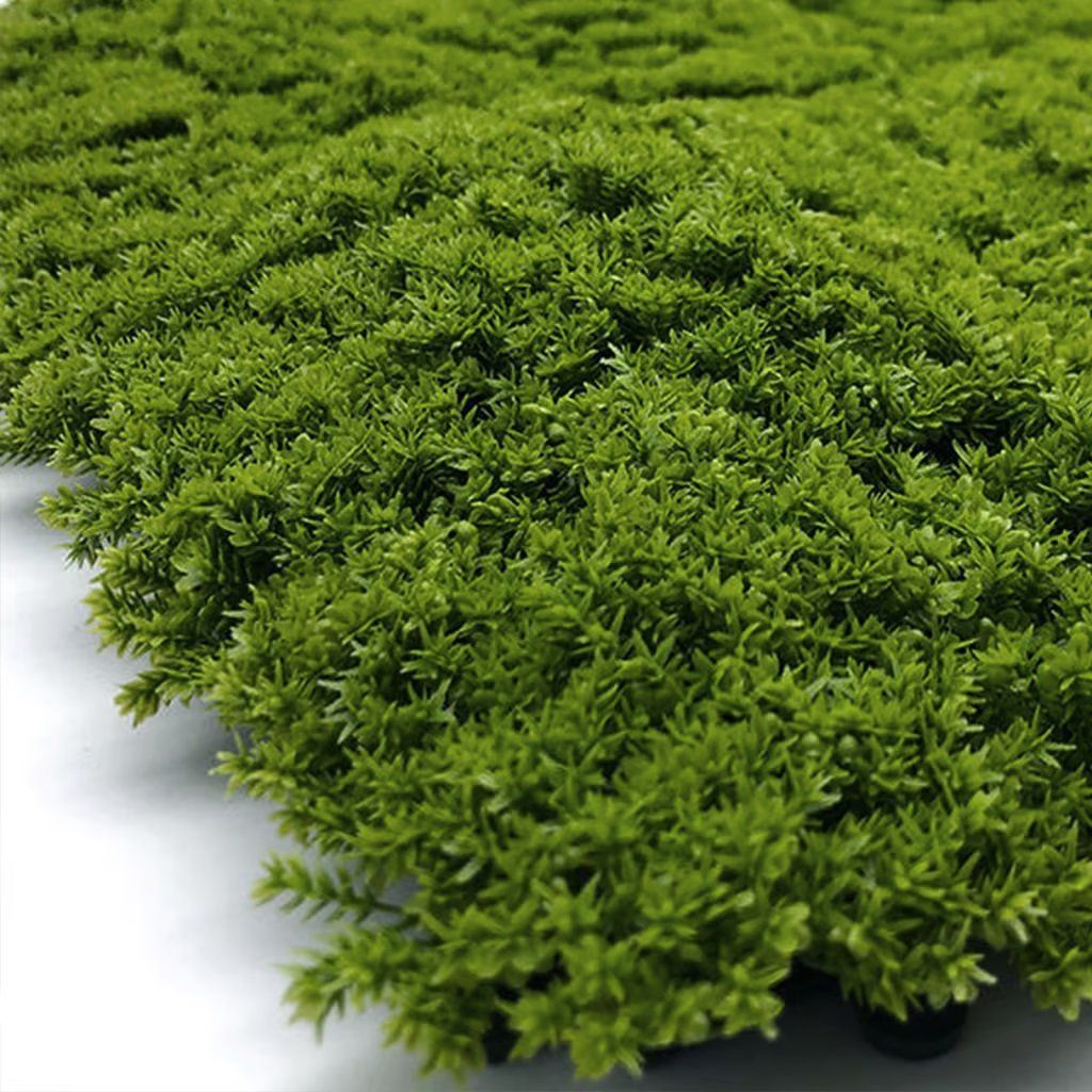 JARDIN VERTICAL MUSGO (2)